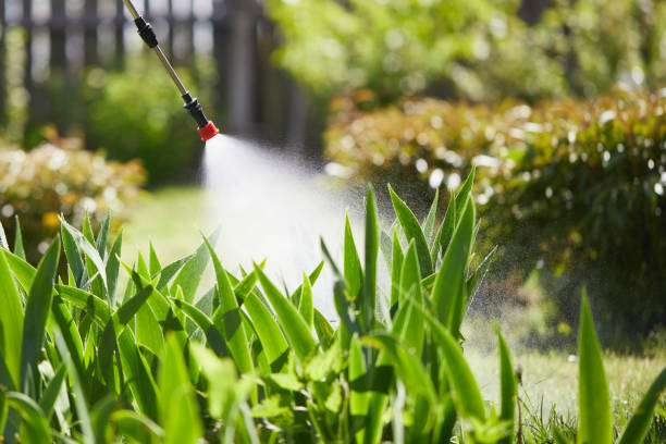 Tamper-Resistant Bait Stations for Rodents in Seneca