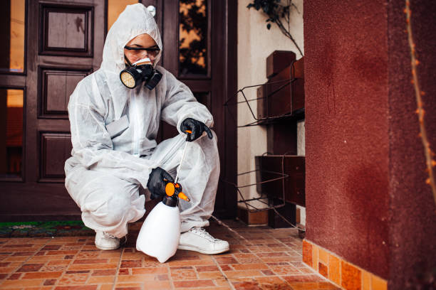 Attic and Crawl Space Rodent Treatment in Seneca