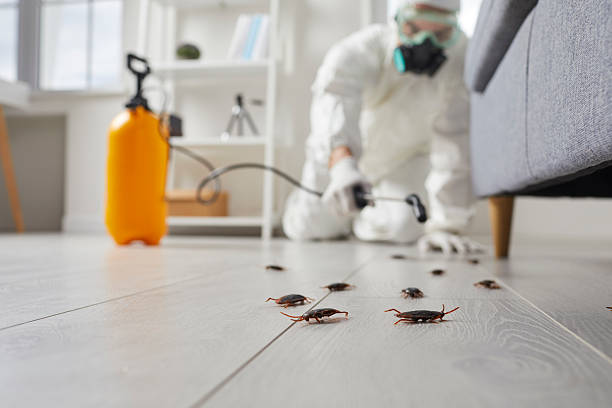 Commercial Rodent Management in Seneca